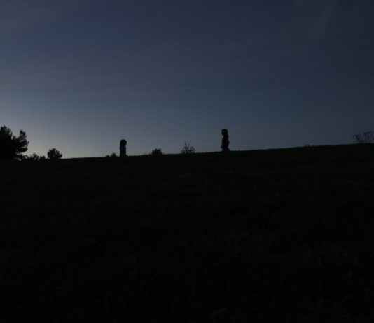 Convert Photo Bursts Into Video Or Gif With The Burst App