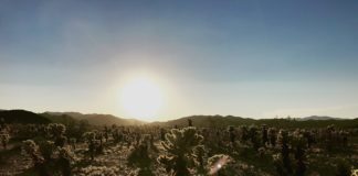 Free National Park Passes For 4th Graders