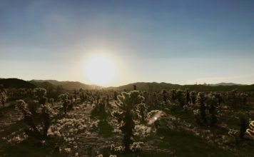 Free National Park Passes For 4th Graders